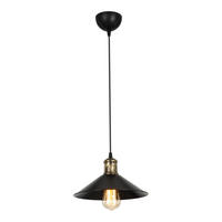 HÄNGELEUCHTE Hinckley - Schwarz, Kunststoff (30/30/62cm) - lux.pro
