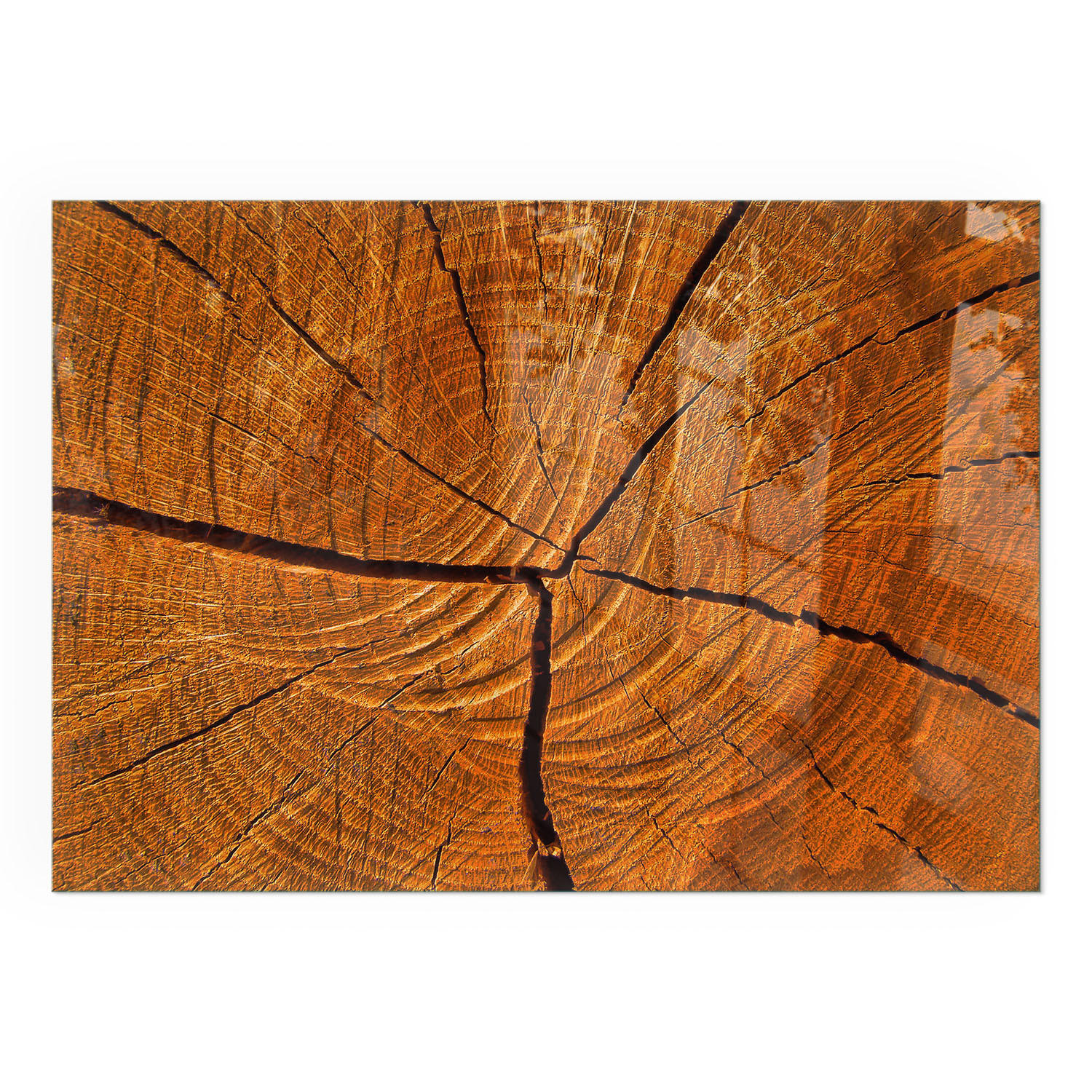 GLASPLATTE für Kamin 100x70 cm - Orange, Glas (100/70/0.4cm) - TULUP