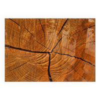 GLASPLATTE für Kamin 100x70 cm - Orange, Glas (100/70/0.4cm) - TULUP