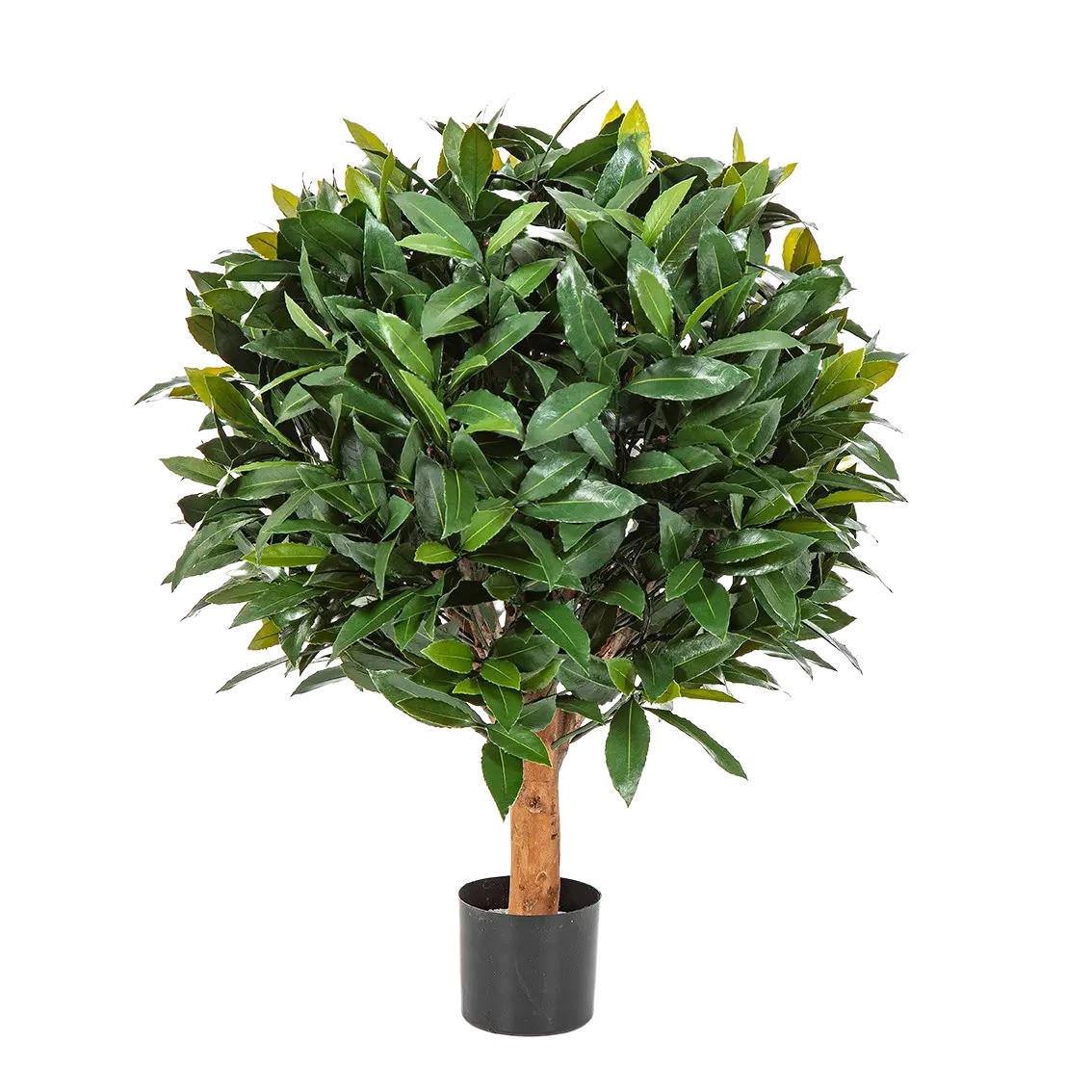 KUNSTBAUM Künstlicher Lorbeer - Tessa 70 cm - Grün, Kunststoff (70cm) - aplanta