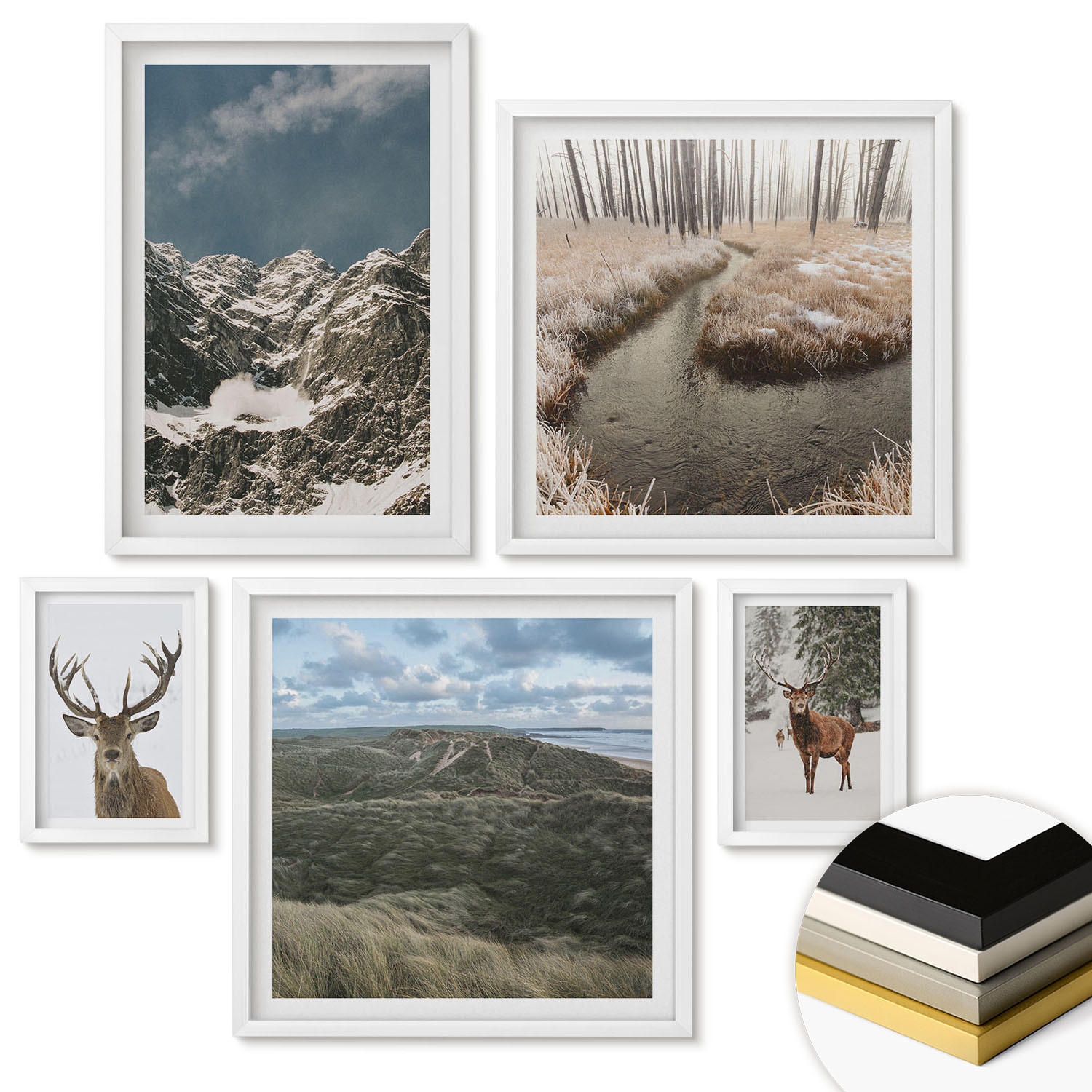 WANDBILDER 5er-Set - 50x50 cm & 20x30 cm & 40x60 cm Weißer Rahmen - Berge, Schnee, Hirsche, Waldlandschaft - Weiß, Kunststoff (40/60cm) - ArtPrintCave