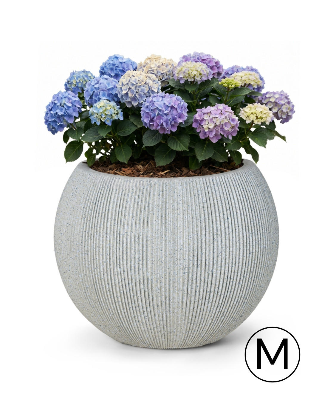 BLUMENTOPF Grau ROTONDO M 37x37x30 cm - Grau, Kunststoff (30cm) - Mazovia