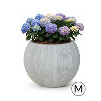 BLUMENTOPF Grau ROTONDO M 37x37x30 cm - Grau, Kunststoff (30cm) - Mazovia