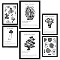 POSTER Set Mit 6 Komposition Aus Schwarzen & Weißen Pilzen & Homgos A3 & A4 Schwarzer Rahmen - Schwarz, Papier (29/3cm) - Nacnic