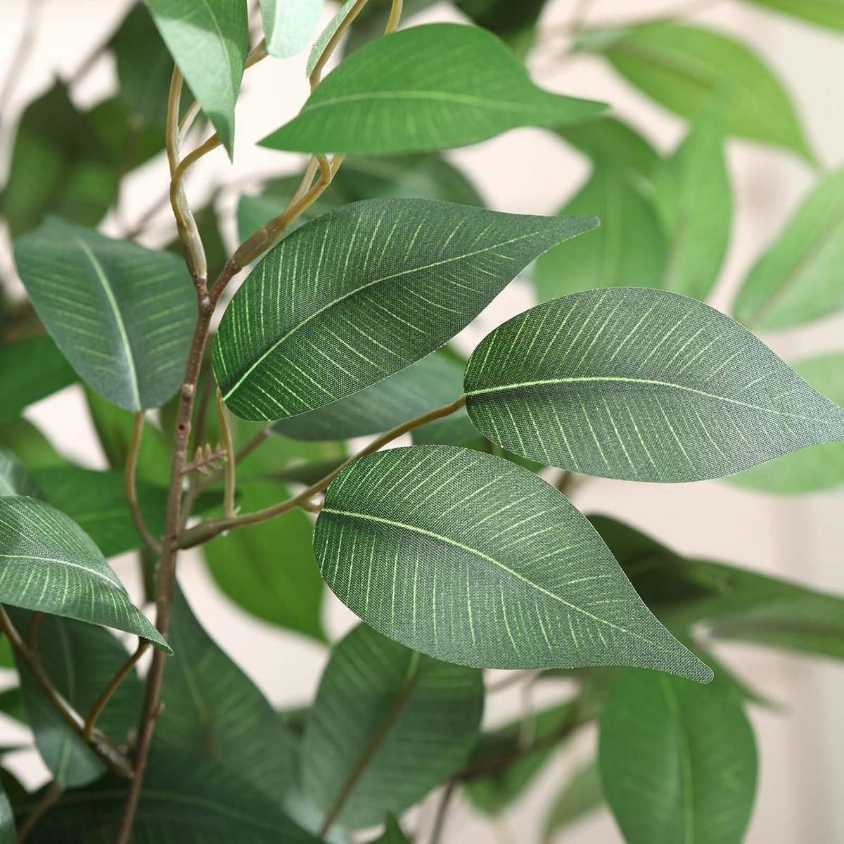 KÜNSTLICHE Pflanze Ficus 180 cm im weißen Topf - Grün, Kunststoff (182.9cm)