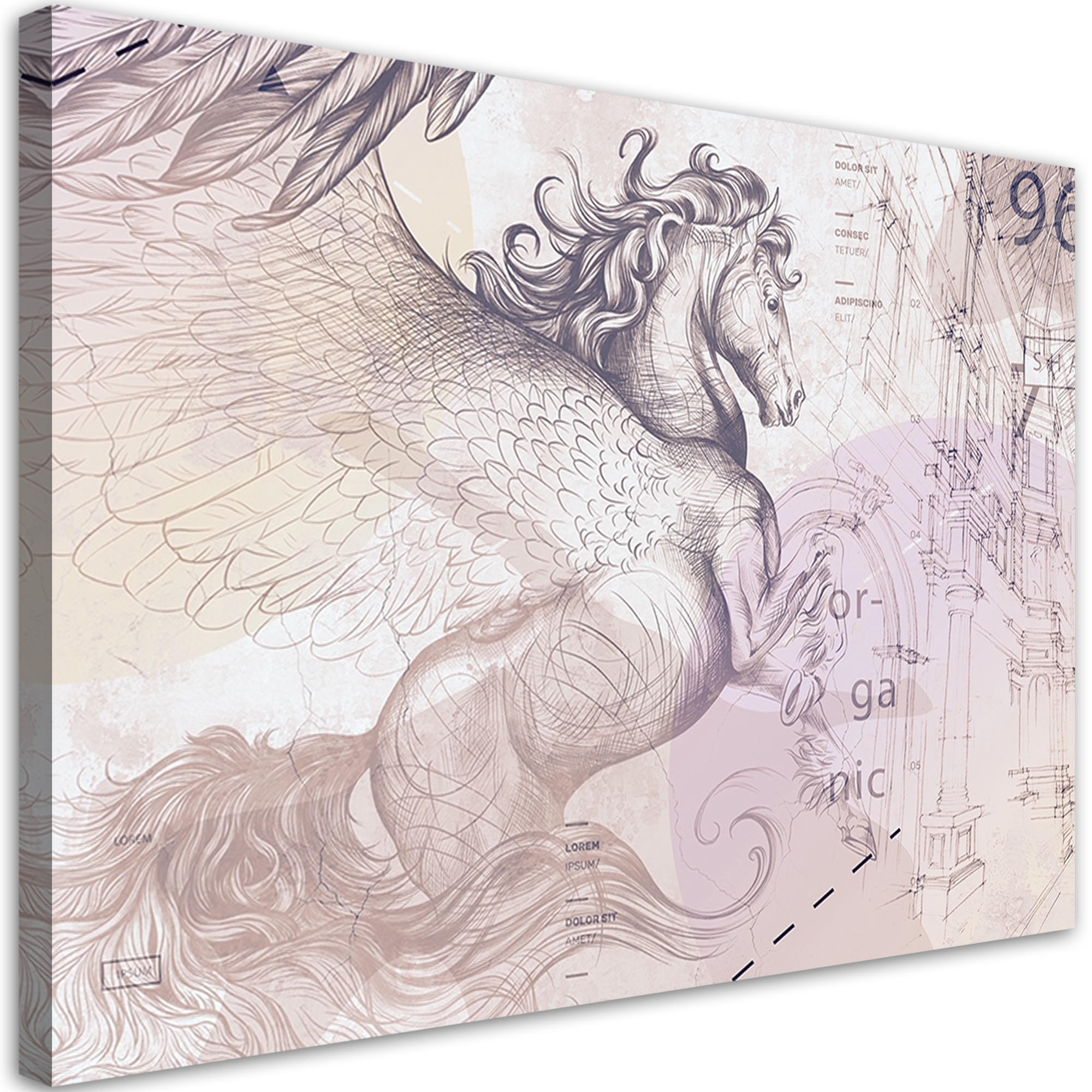 WANDBILD pegasus pferd abstrakt - Pink, Textil (60/40cm) - Feeby