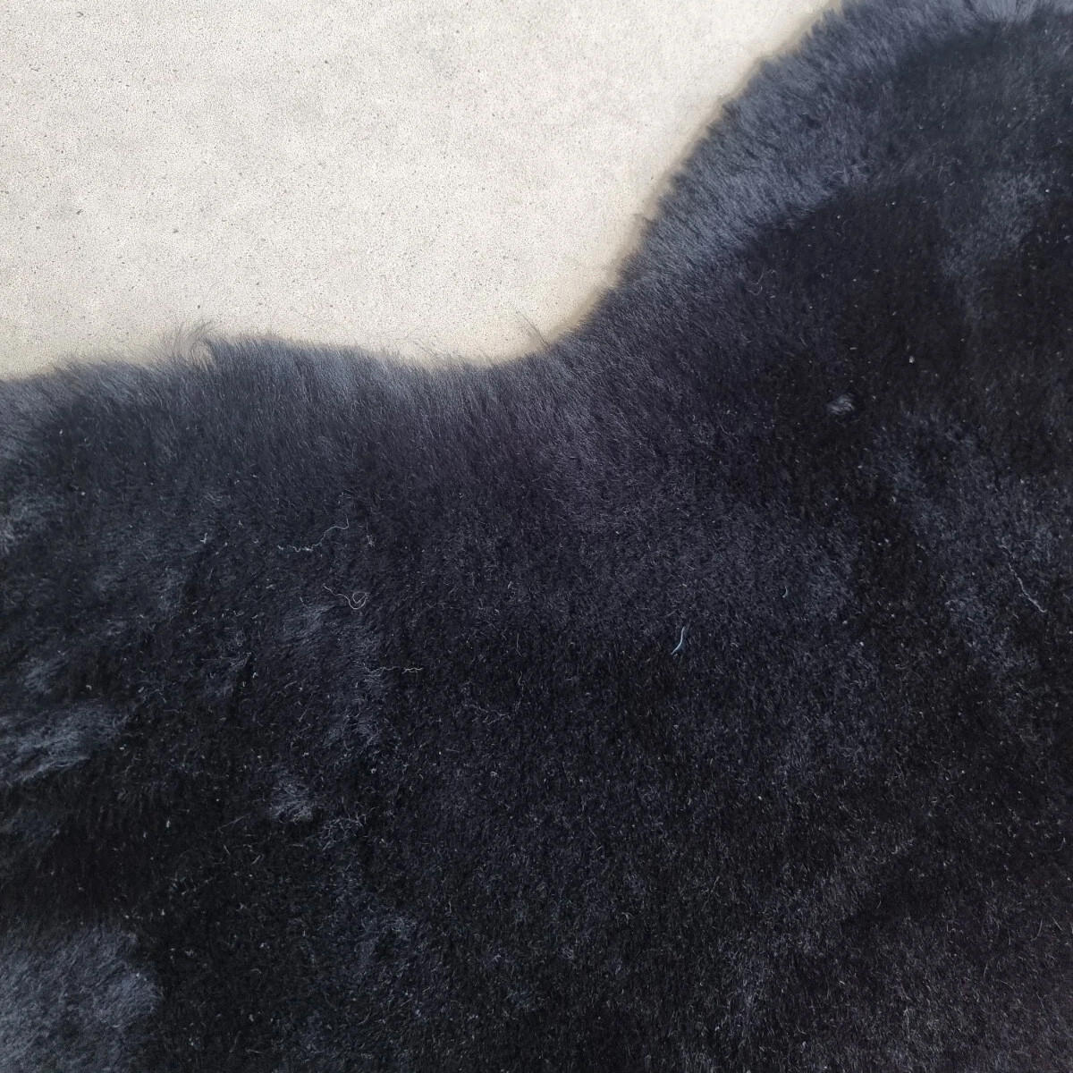 SCHAFFELL Premium Merino Lammfell Schwarz Dyed geschoren ca. 115 cm - Schwarz, Fell (65/115cm) - Provellus