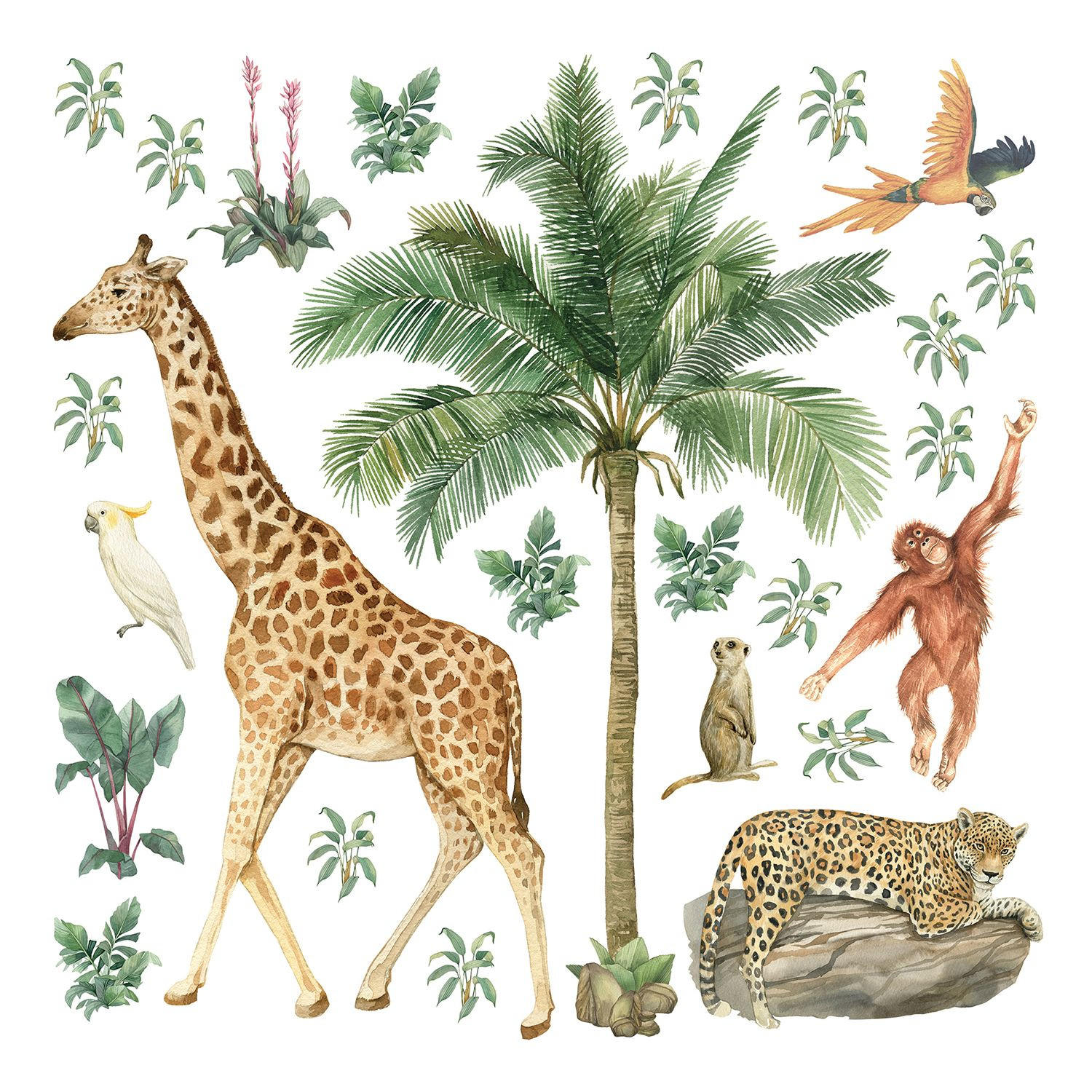 WANDTATTOO Dschungeltiere 30 x 30 cm - Multicolor, Papier (30/30/30cm) - Sanders & Sanders