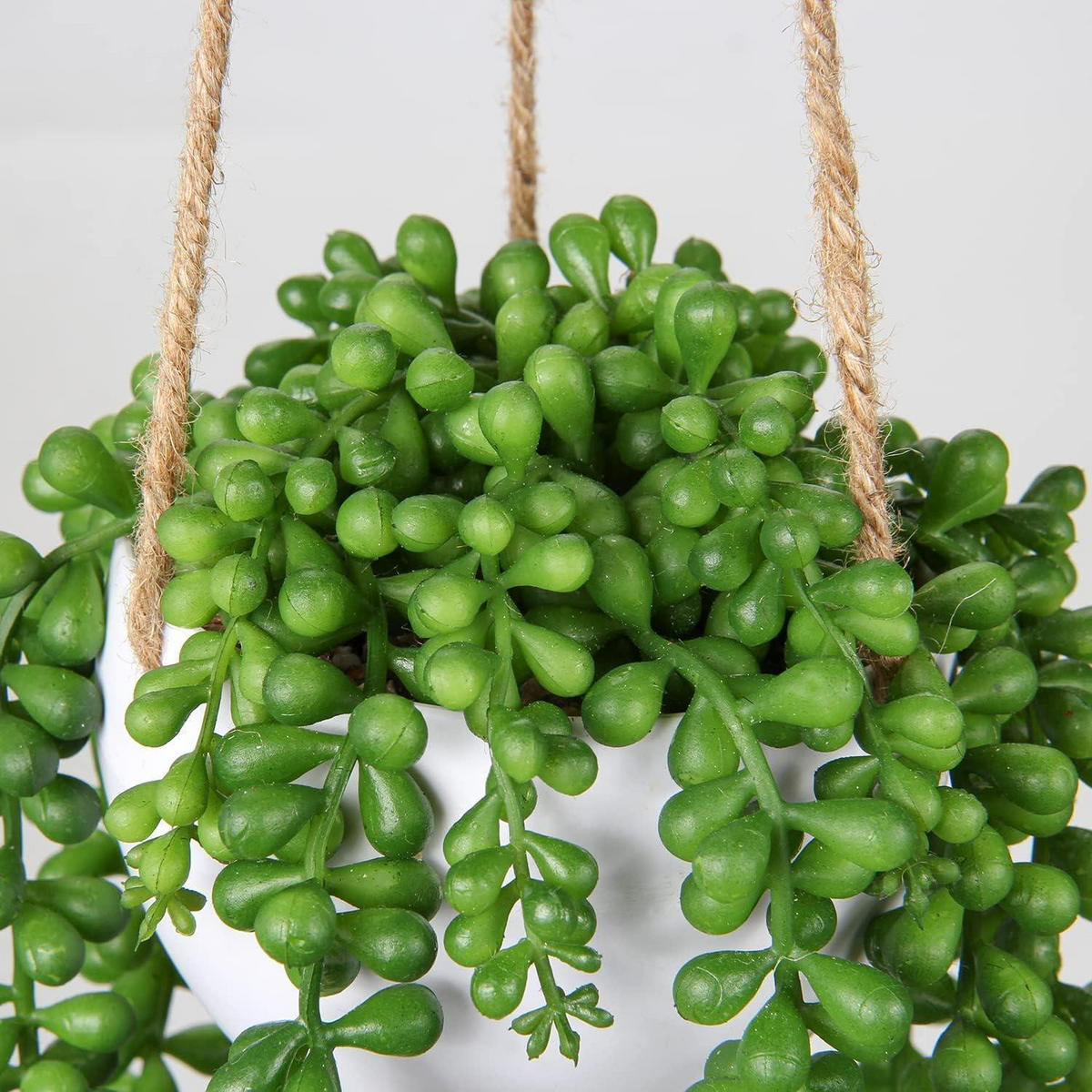 HÄNGEPFLANZE Senecio Künstliche Sukkulente 35.5 cm - Grün, Kunststoff (35cm)