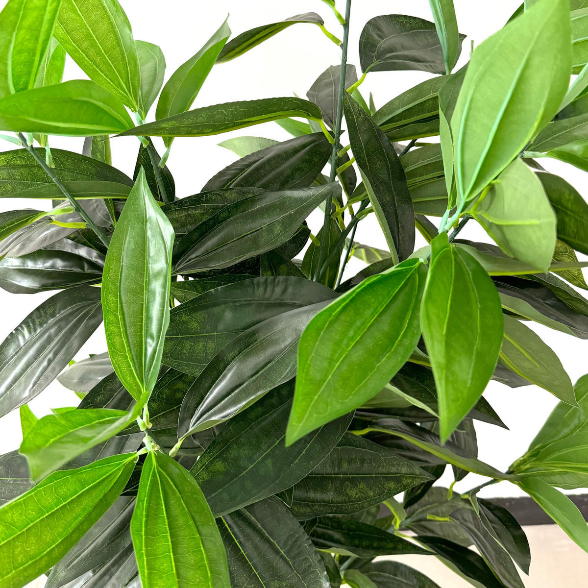 KUNSTPFLANZE Cassia 145 cm - Grün, Kunststoff (145cm)