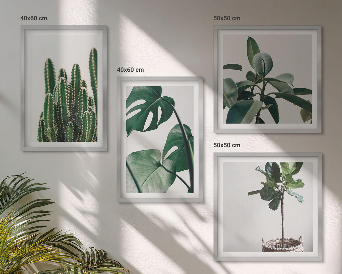 WANDBILDER 4er Set - 50x50 cm & 40x60 cm Silberner Rahmen - Ästhetik tropischer Pflanzen - Silberfarben, Kunststoff (50/50cm) - ArtPrintCave