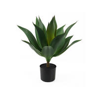 DEKOPFLANZE Succlulent 50/50/56 cm - Grün, Kunststoff (56cm) - Present Time