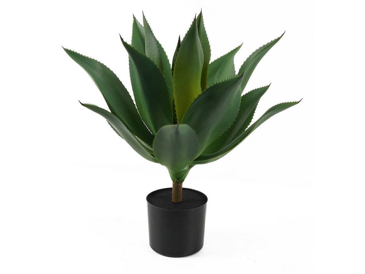 DEKOPFLANZE Succlulent 50/50/56 cm - Grün, Kunststoff (56cm) - Present Time