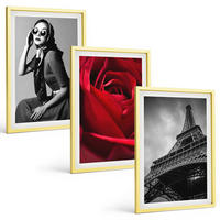 BILDER SET 3er Set - 40x60 cm Goldrahmen - Pariserin mit Eiffelturmbrille - Goldfarben, Kunststoff (40/60cm) - TULUP