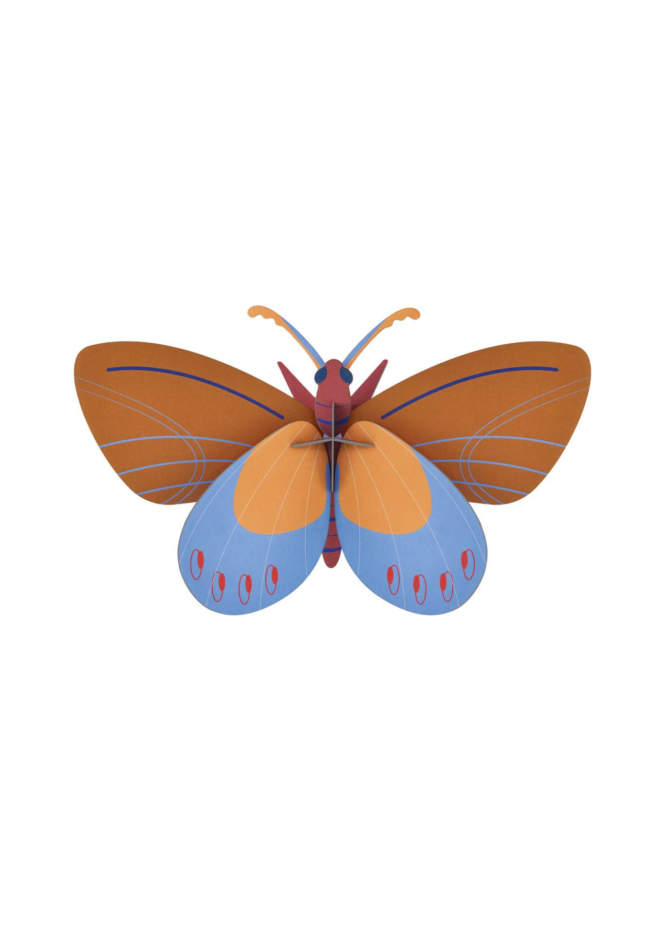 WANDDEKO Azur-Monarch 10/20.5 cm - Multicolor, Wellpappe (10/20.5/34cm) - KUNSTLOFT