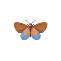 WANDDEKO Azur-Monarch 10/20.5 cm - Multicolor, Wellpappe (10/20.5/34cm) - KUNSTLOFT