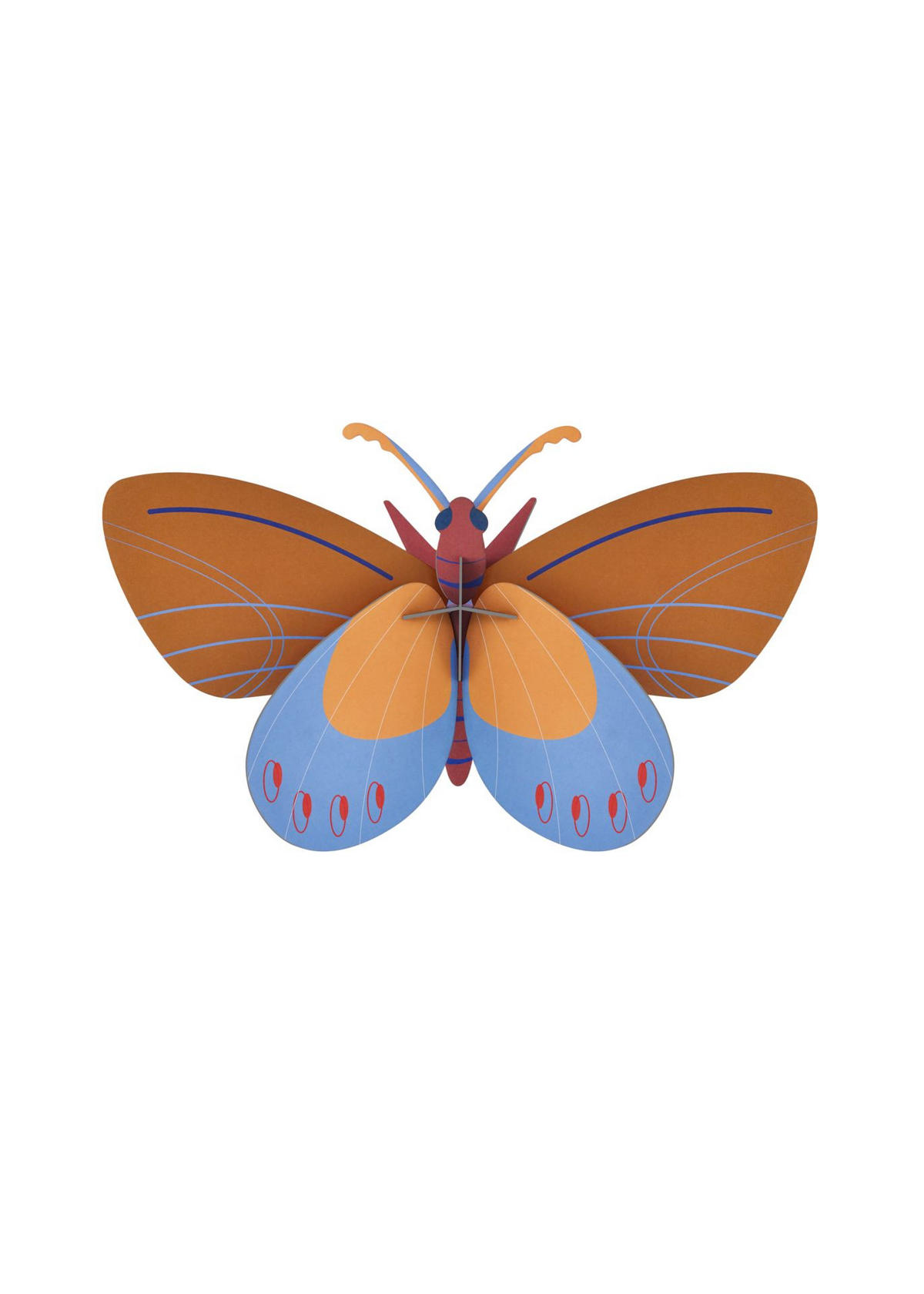 WANDDEKO Azur-Monarch 10/20.5 cm - Multicolor, Wellpappe (10/20.5/34cm) - KUNSTLOFT