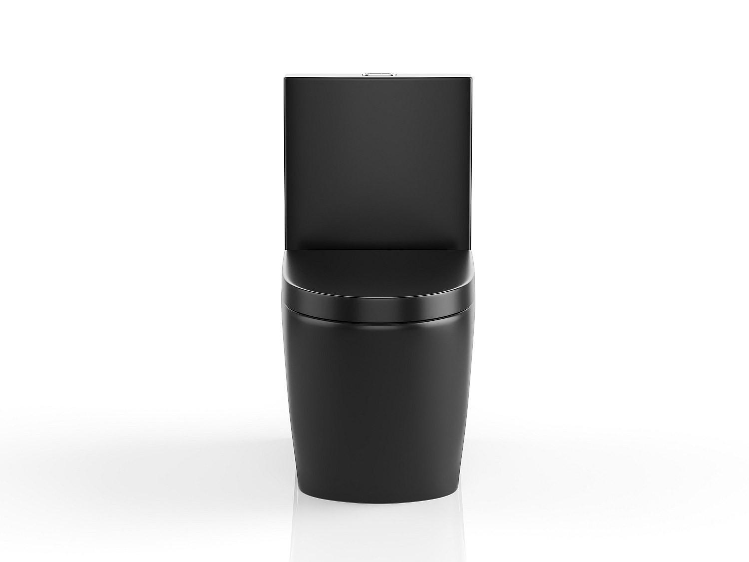 STAND WC - 39 cm x 69 cm - Keramik - Schwarz NAGILAM - Schwarz, Keramik (39/78.5/69cm) - Vente-Unique