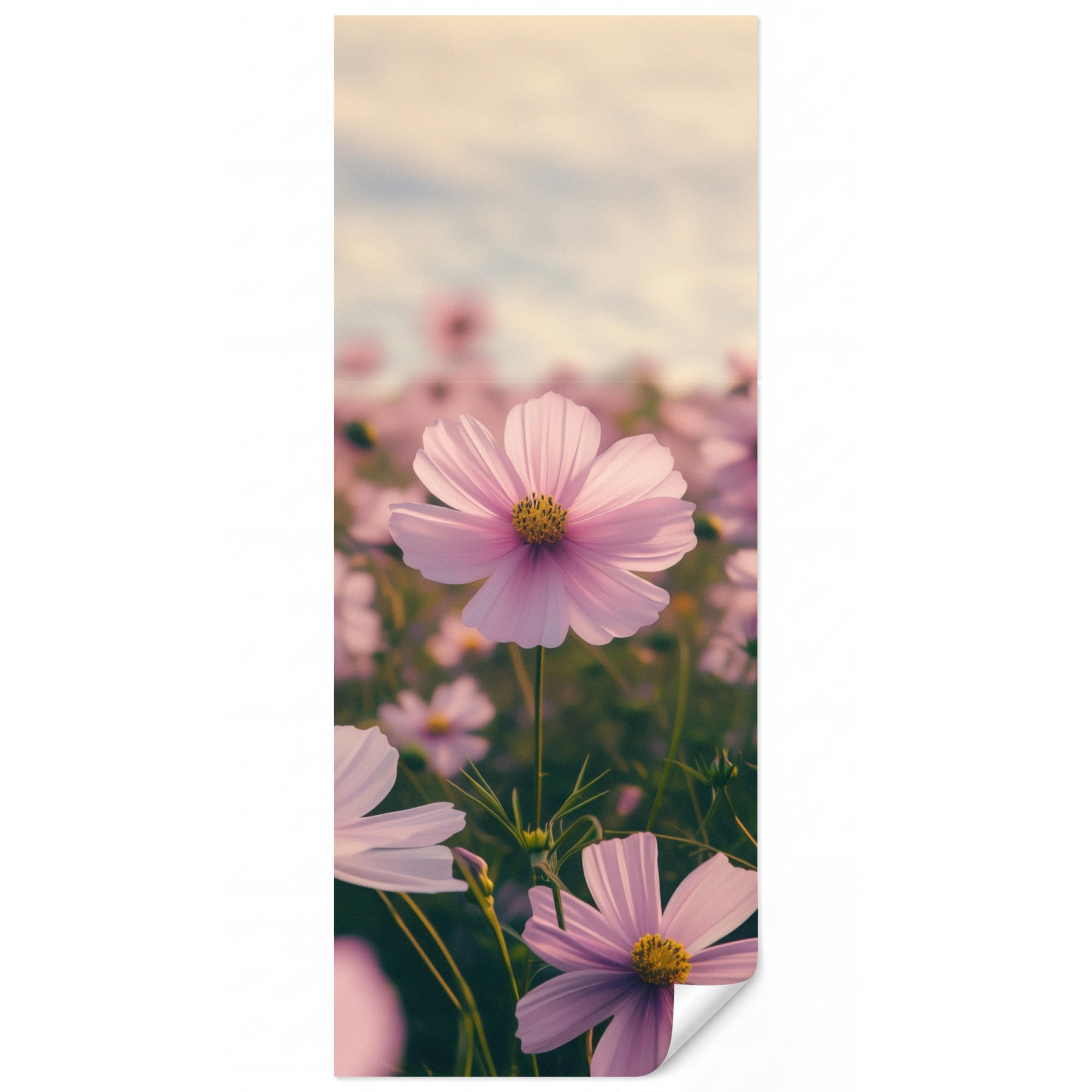 OnlyWow Tapete Rosa 120x300 cm