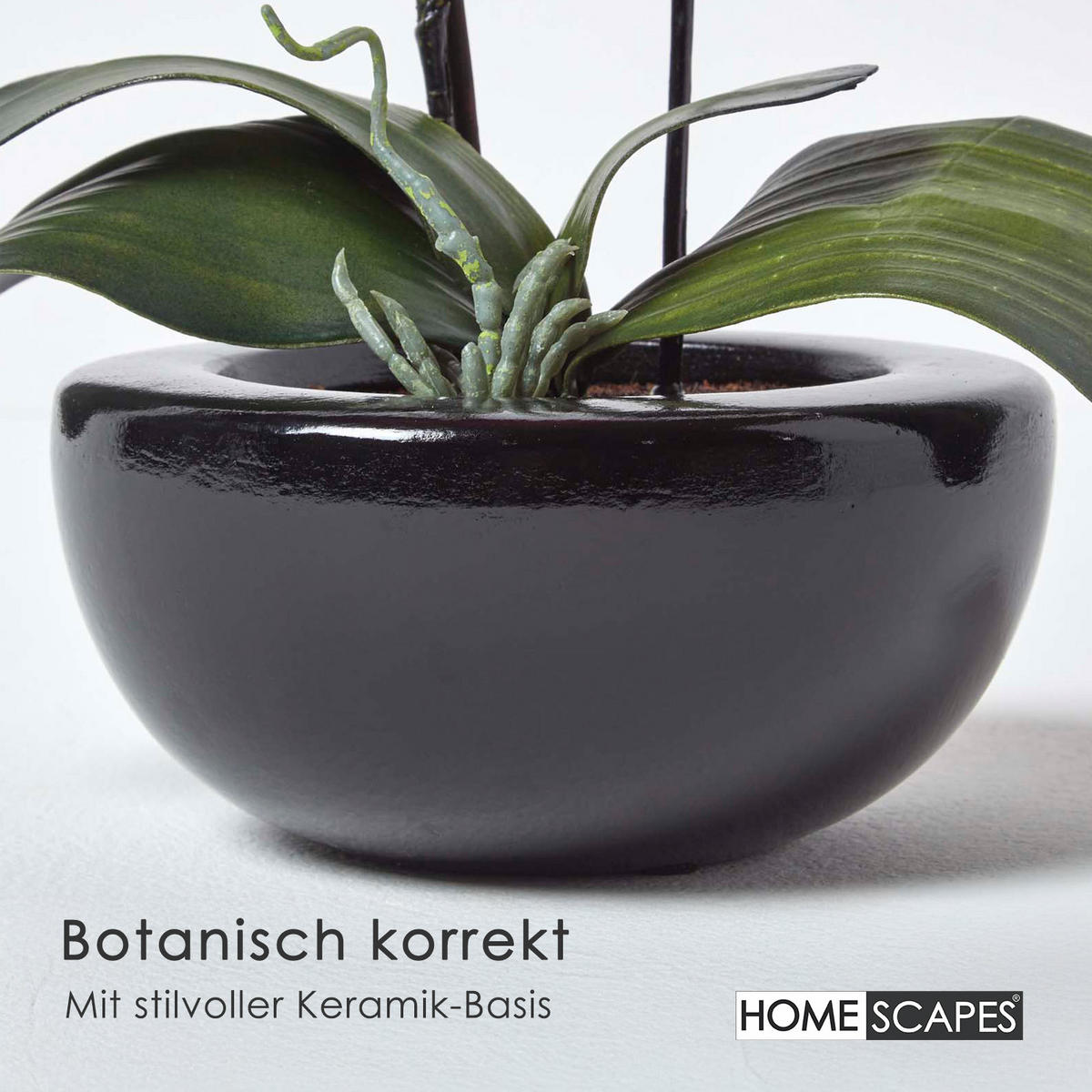 KUNSTBLUME Orchidee weiß in Schale, 54 cm - Creme, Kunststoff (54cm) - Homescapes