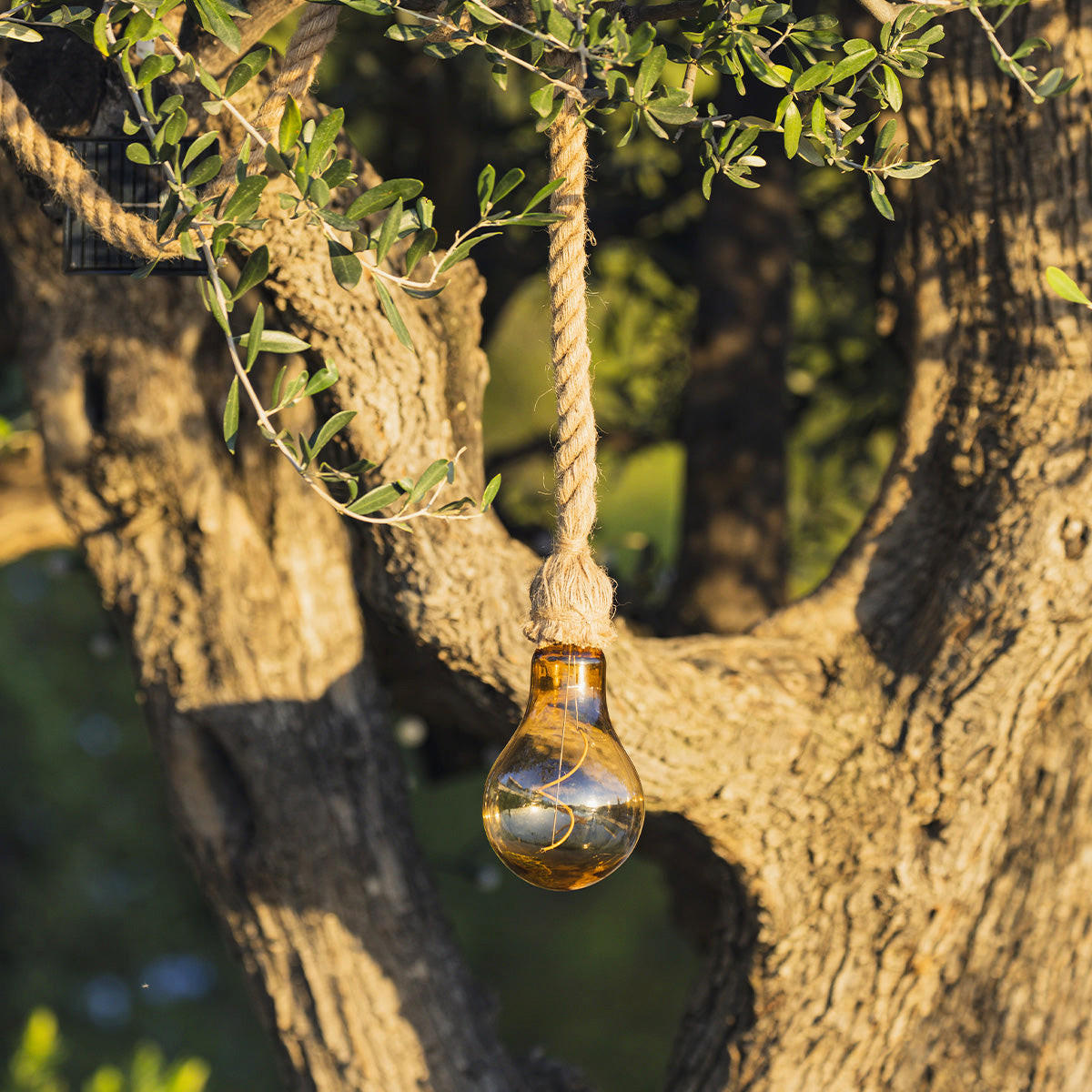 CORDY 2M20 Solarseilaufhängung - Beige, Naturmaterialien (200/10/1cm) - Lumisky