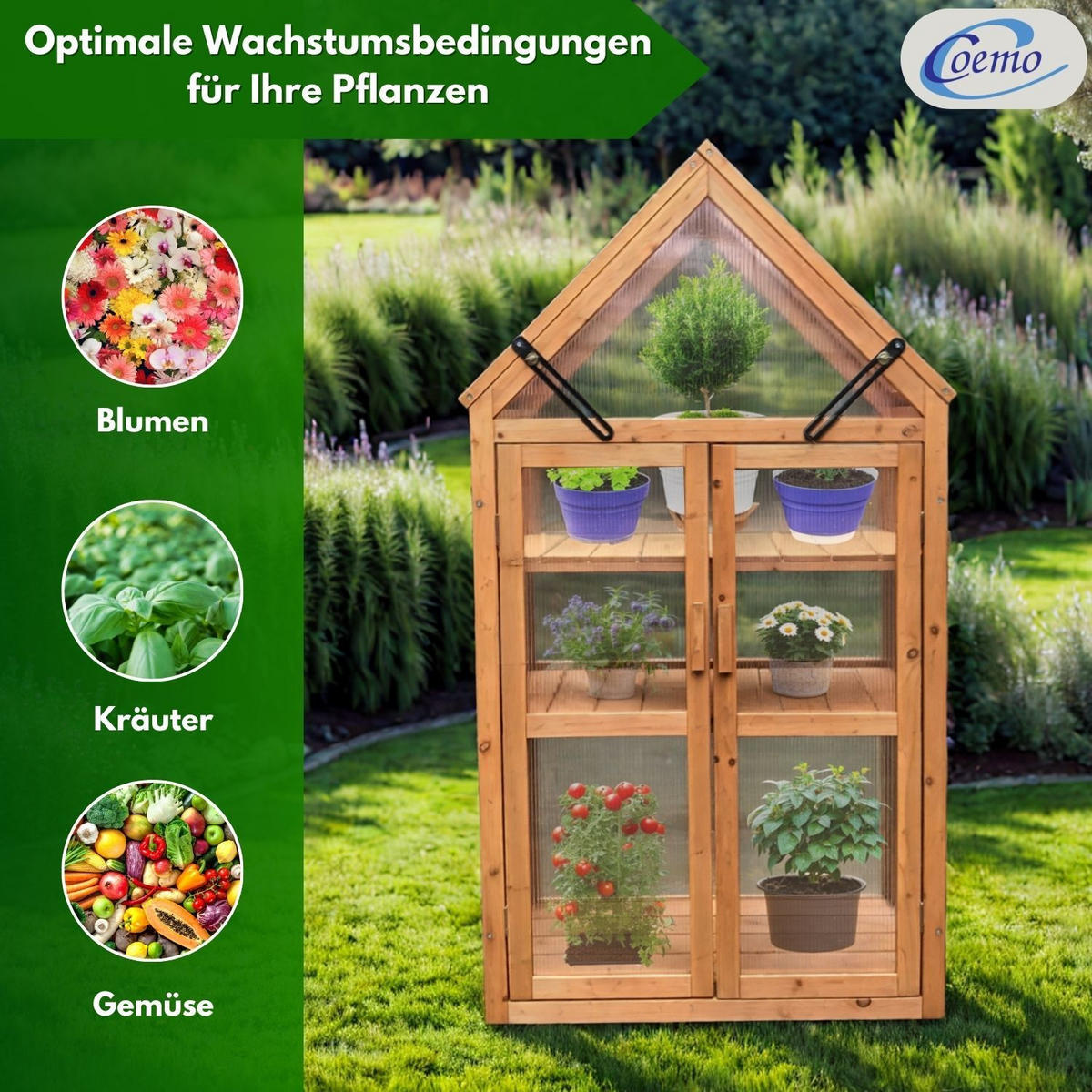 GEWÄCHSHAUS JAN Holz Farbe Braun 65/40/120 cm - Naturfarben, Holz (40/120/65cm) - Coemo