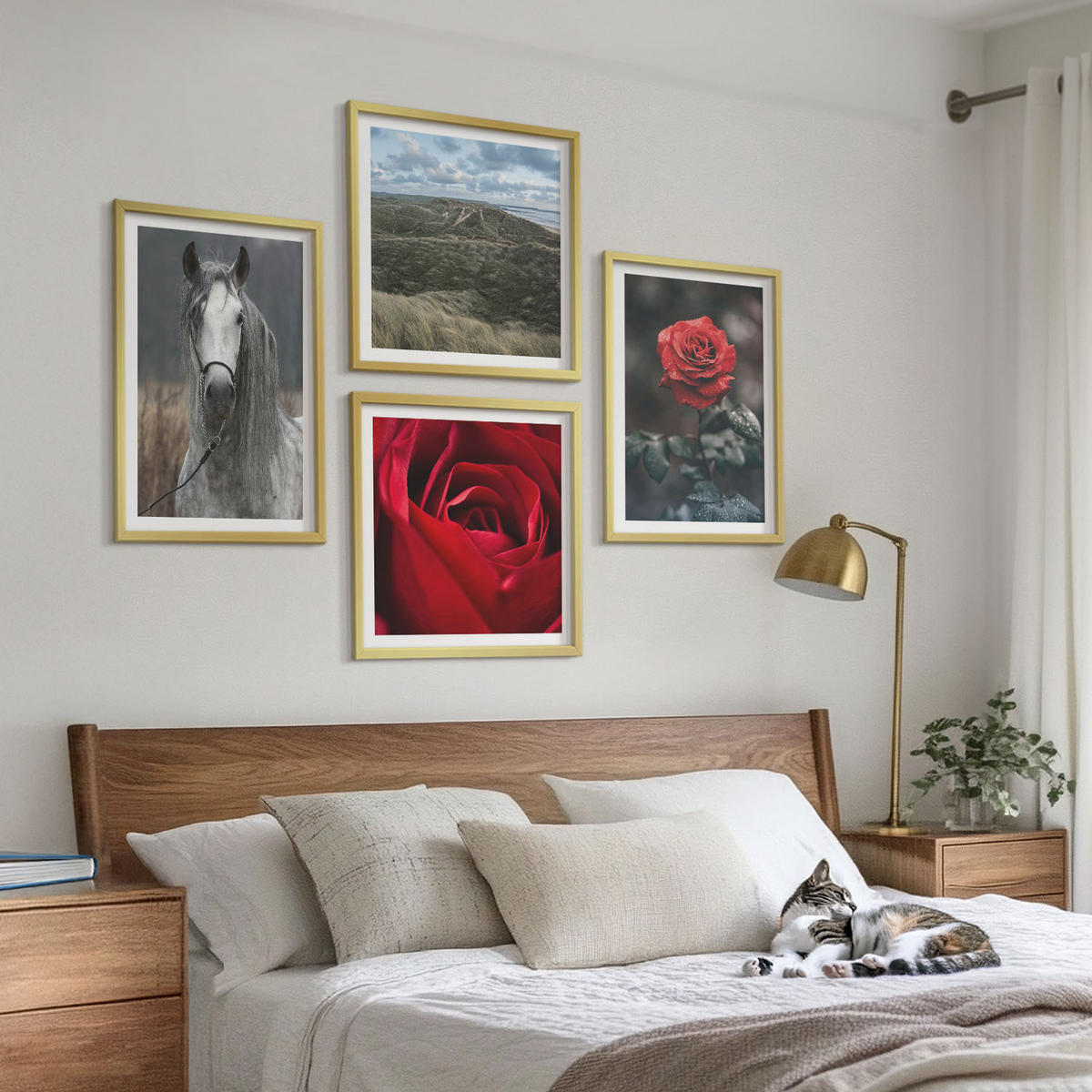 BILDER SET 4er Set - 50x50 cm & 40x60 cm Goldrahmen - Rote Rosen auf pferdegrauem Hintergrund - Goldfarben, Kunststoff (50/50cm) - TULUP