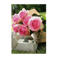 LEINWANDBILD Romantische Rosen 70x50cm - Rosa/Grün, Textil (70/1cm) - Art for the Home
