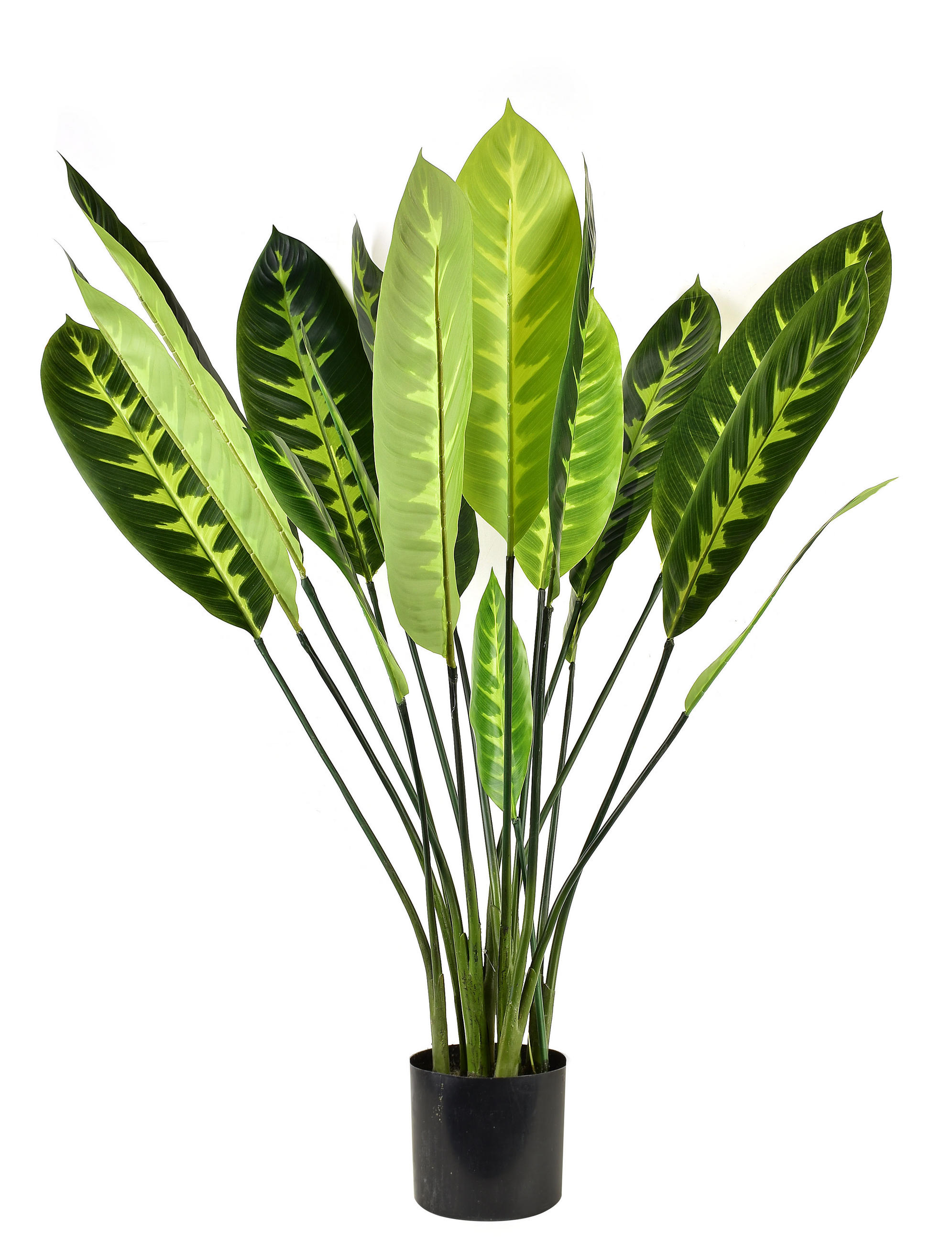 KUNSTPFLANZE Virdis Grün 60/40/105 cm Kunstoff - Grün, Kunststoff (105cm) - Mondex