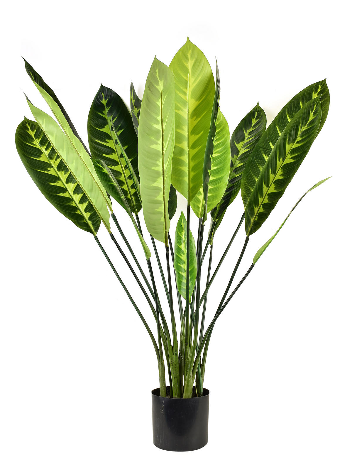 KUNSTPFLANZE Virdis Grün 60/40/105 cm Kunstoff - Grün, Kunststoff (105cm) - Mondex