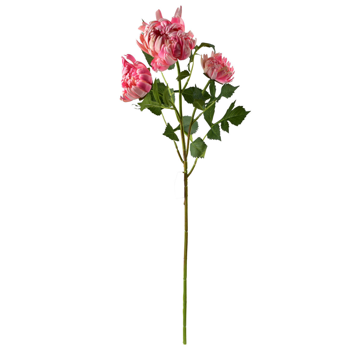 UMĚLÁ KVĚTINOVÁ VĚTVIČKA, Viridis - zelená barva, plast (70cm) - Mondex