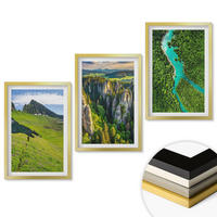 WANDBILDER 3er Set - 40x60 cm Goldrahmen - Grüne Berge, Flussfelsen - Goldfarben, Kunststoff (40/60cm) - ArtPrintCave