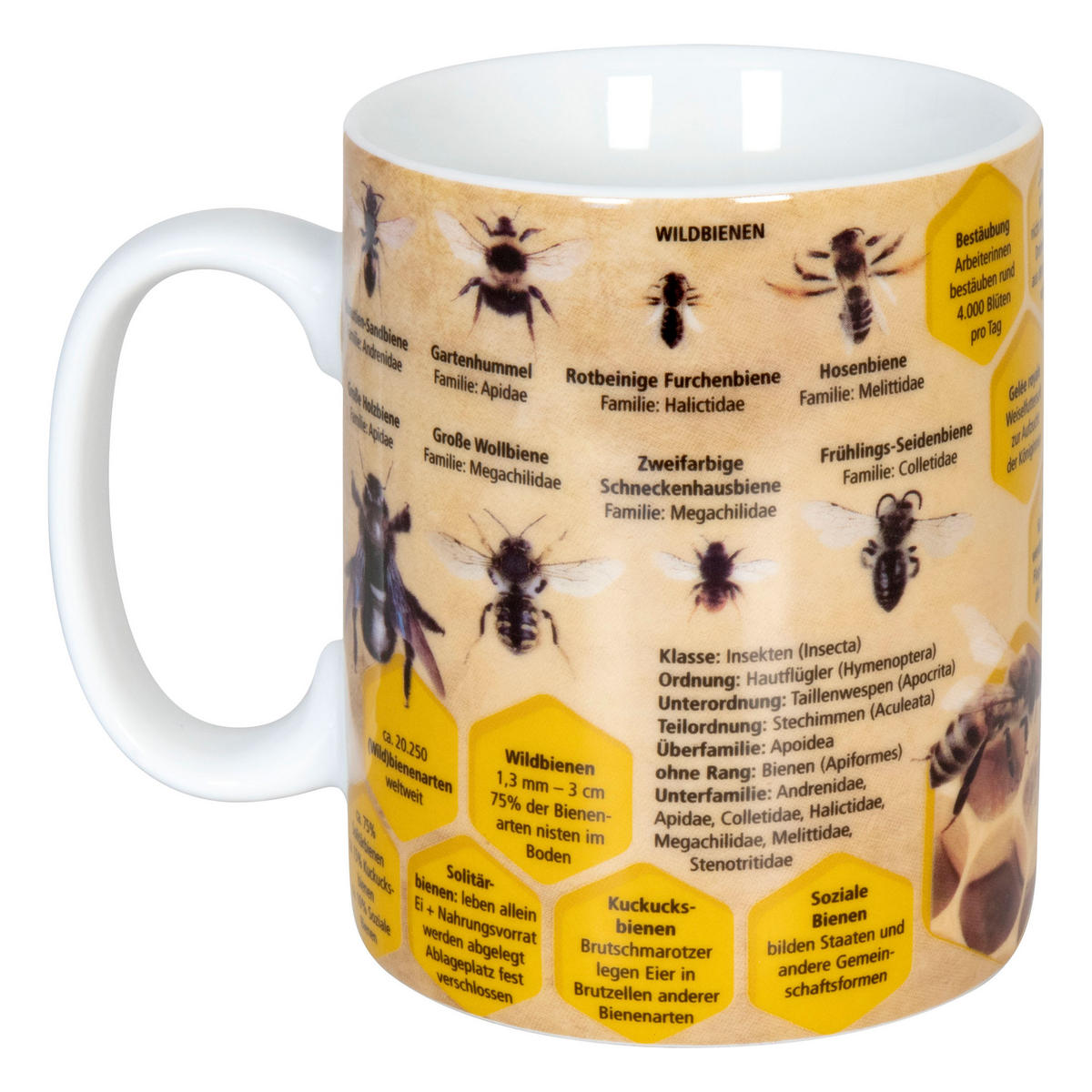 WISSENSBECHER Biene mit Samentüte in Geschenkbox - Naturfarben, Keramik (0.49L) - Könitz