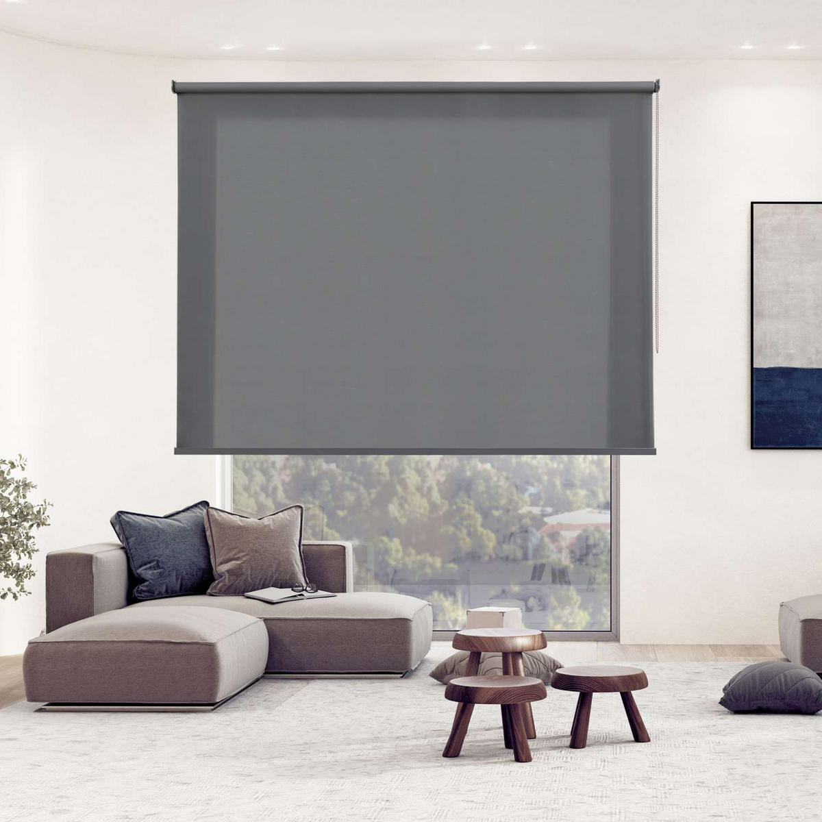 ROLLO| Grau, 200 cm x 250 cm - Dunkelgrau, Kunststoff (200/250cm) - STORESDECO