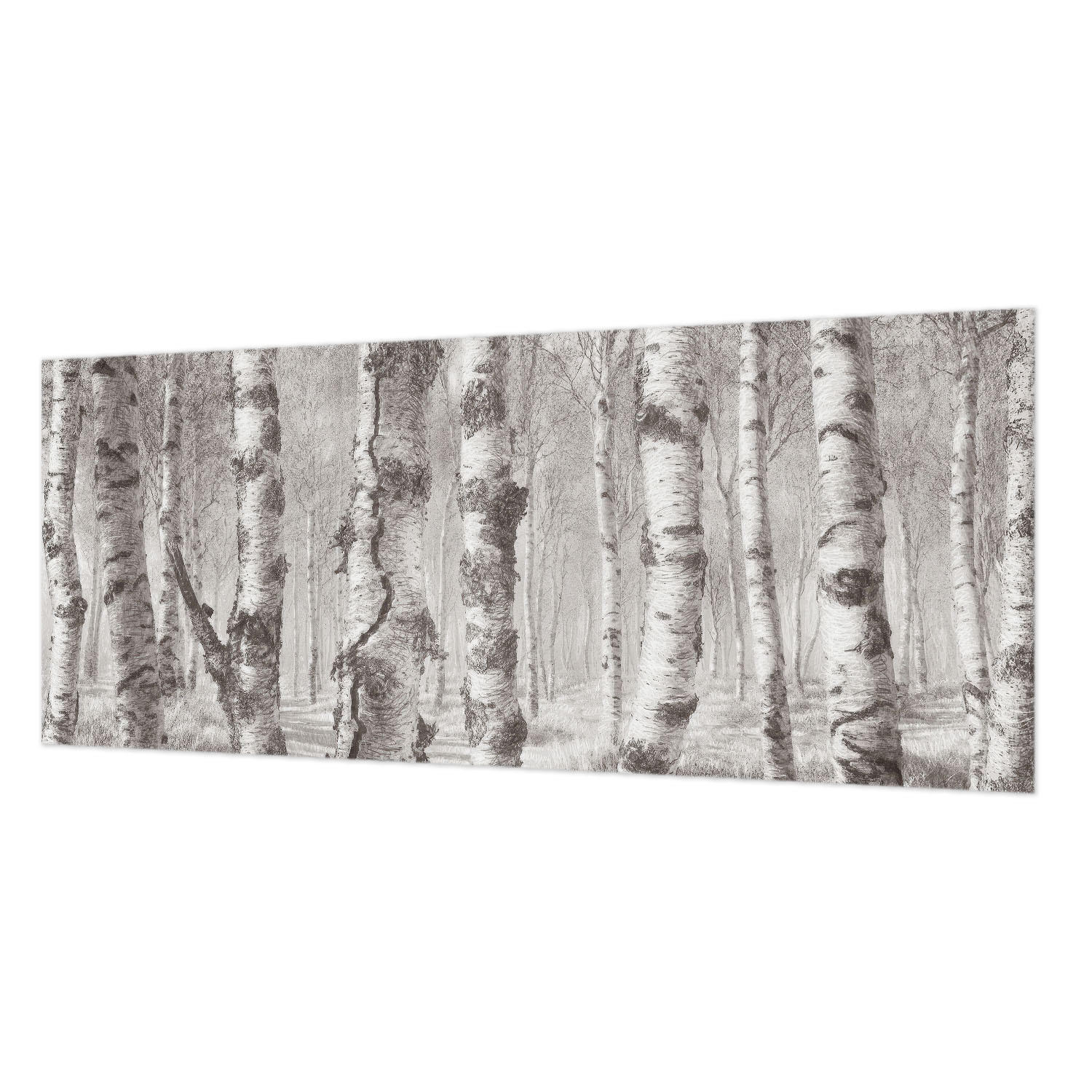 FOTOTAPETE 250x104 cm - Birkenwald - Schwarz, Textil (250/104cm) - Wallfluent