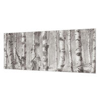 FOTOTAPETE 250x104 cm - Birkenwald - Schwarz, Textil (250/104cm) - Wallfluent