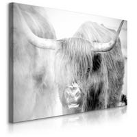 LEINWANDBILD Für Schlafzimmer Schwarz-weiß Schottische Kuh Natur 3D 30/20 cm - Schwarz/Weiß, Textil (30/20cm) - Muralo