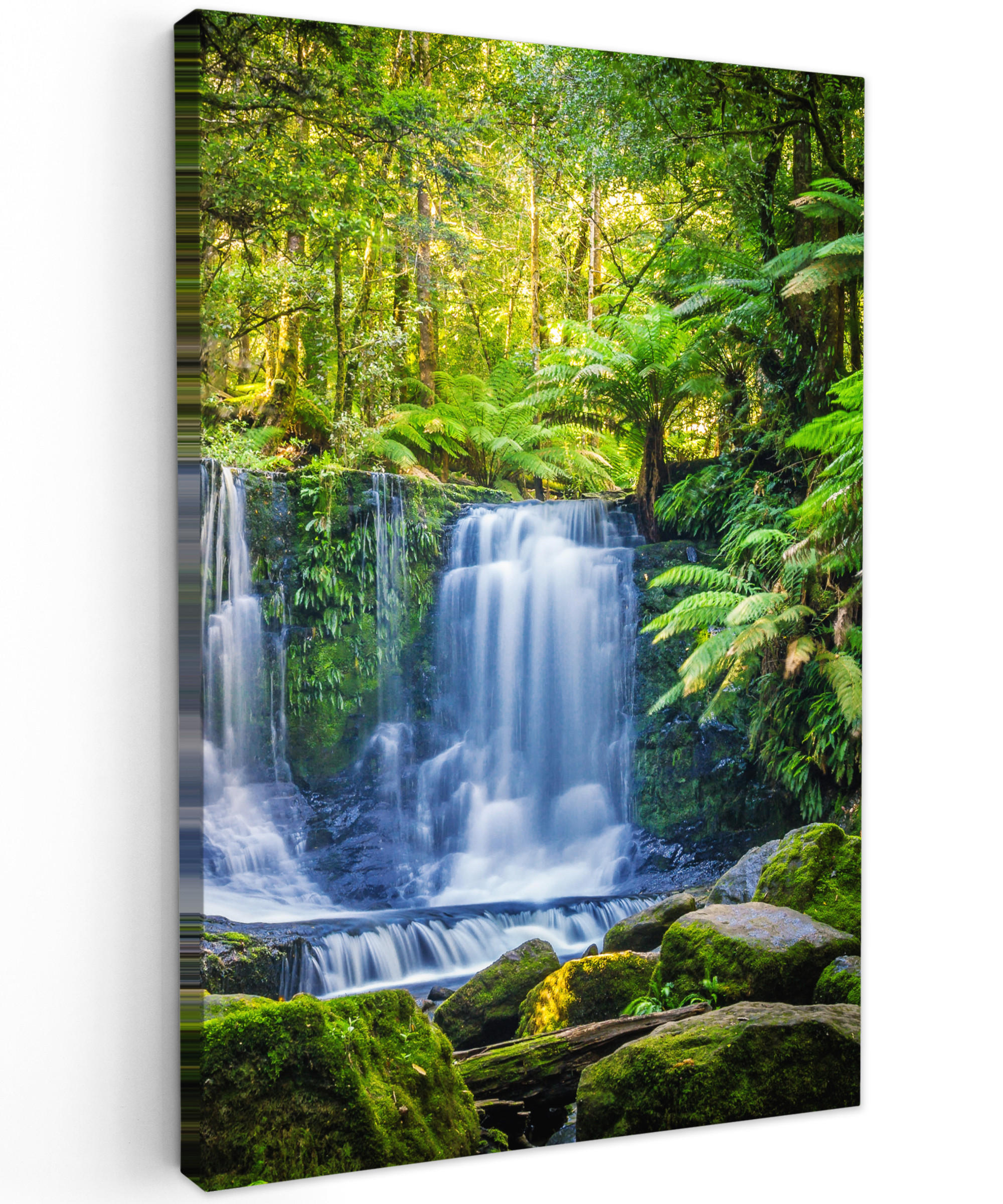 LEINWANDBILD Dschungel - Wasserfall - Australien - Pflanzen - Natur 40x60 cm - Dunkelgrün, Textil (40/60cm) - MuchoWow