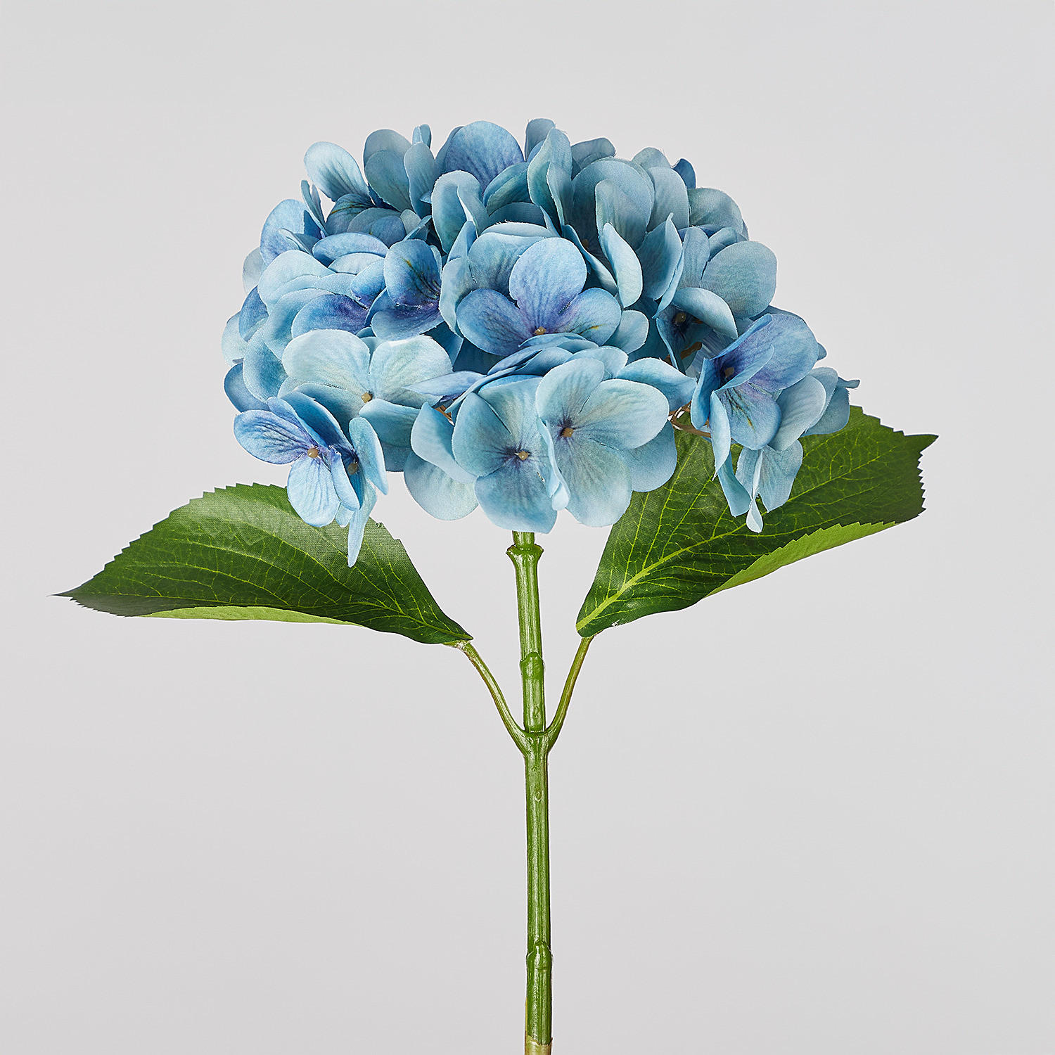 KUNSTBLUME (6er Set) Florista - Hellblau, Kunststoff (67cm) - Butlers