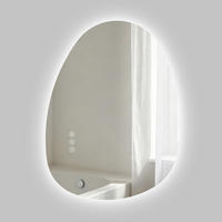 BADSPIEGEL MIT BELEUCHTUNG 60/45 cm asymmetrisch mit dimmbarer LED-Beleuchtung und Antibeschlag - Transparent, Glas (45/60/2.5cm) - S'AFIELINA