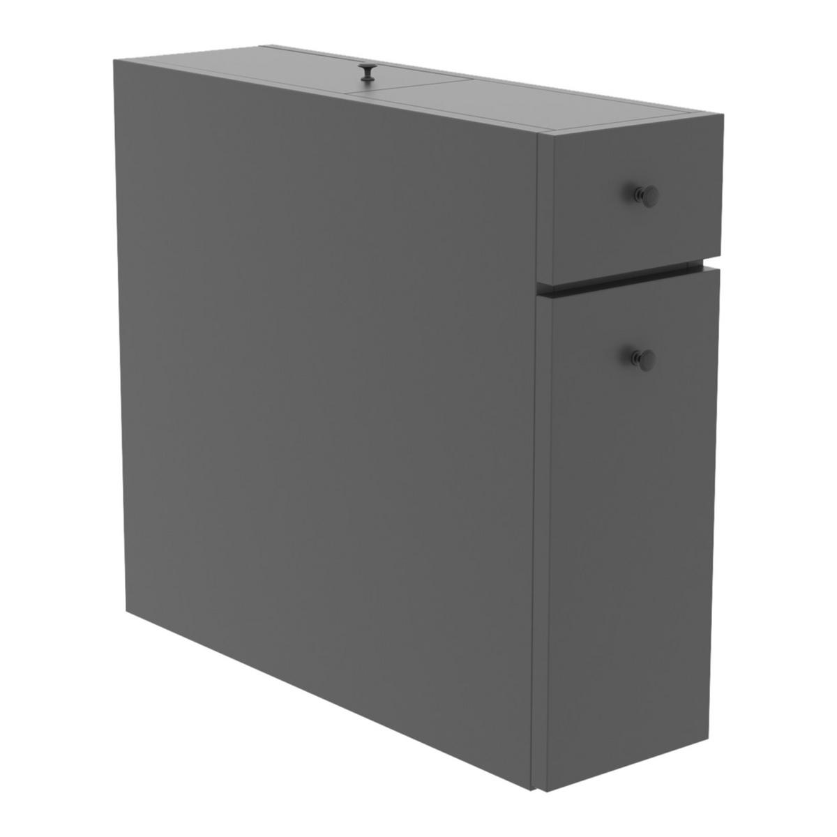 BADEZIMMERSCHRANK Birkenes - Anthrazit, Holzwerkstoff (19/55/60cm) - [en.casa]