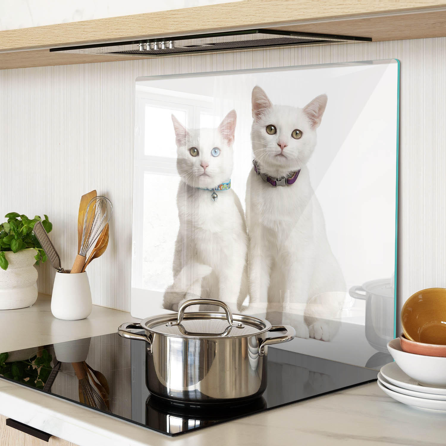 GLASPLATTE 60x52 cm Weiße Katzen - Creme, Glas (60/52cm) - TULUP
