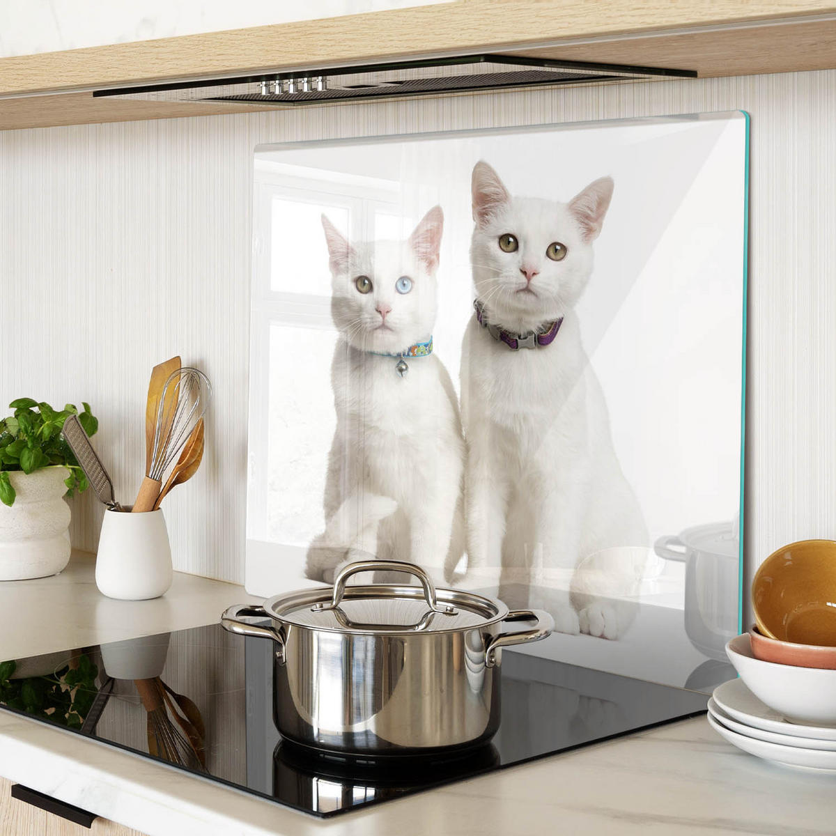 GLASPLATTE 60x52 cm Weiße Katzen - Creme, Glas (60/52cm) - TULUP