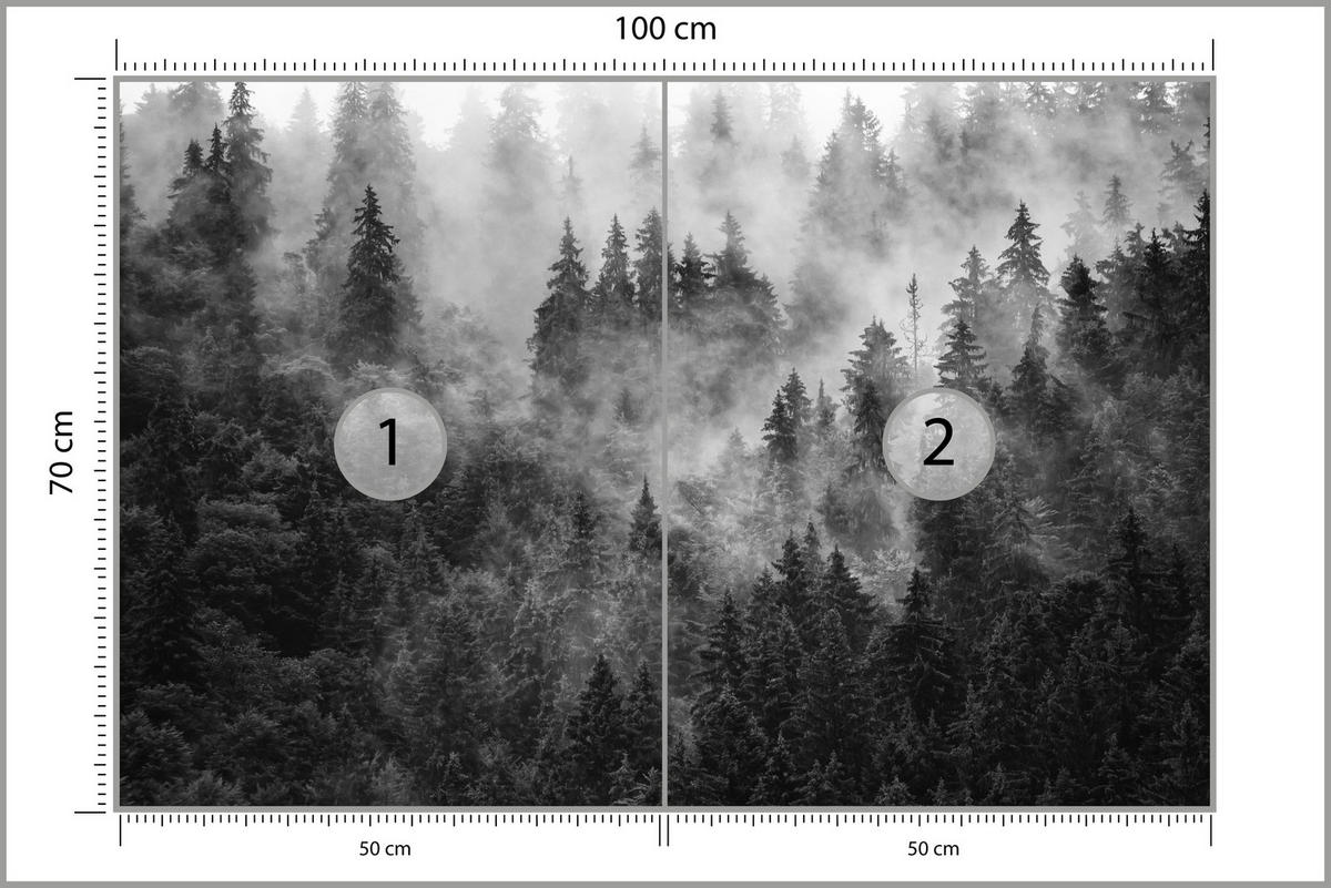 FOTOTAPETE für Wohnzimmer Dichter Nebel Forst Bäume 100x70 - Schwarz/Weiß, Papier (100/70cm) - Muralo