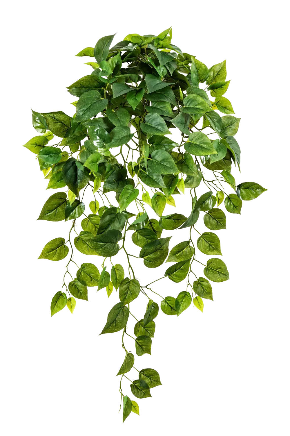 KUNSTPFLANZE Künstliche Hänge-Monstera - Barbara 85 cm - Grün, Kunststoff (85cm) - aplanta