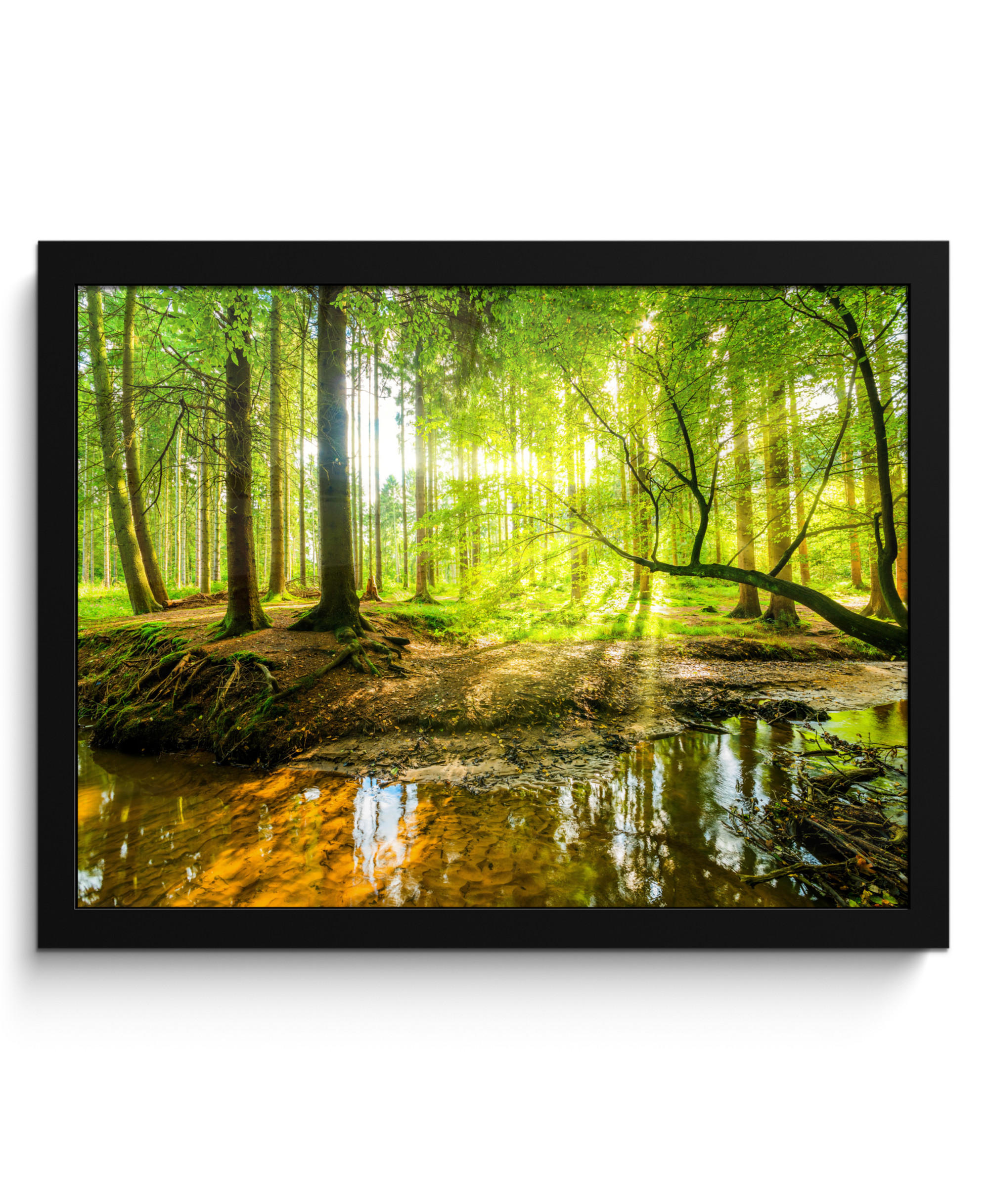 POSTER MIT RAHMENGERAHMTES BILD Wald - Landschaft - Wasser - Bäume - Sonne - Grün - Natur 40x30 cm - Grün, Papier (40/30cm) - MuchoWow