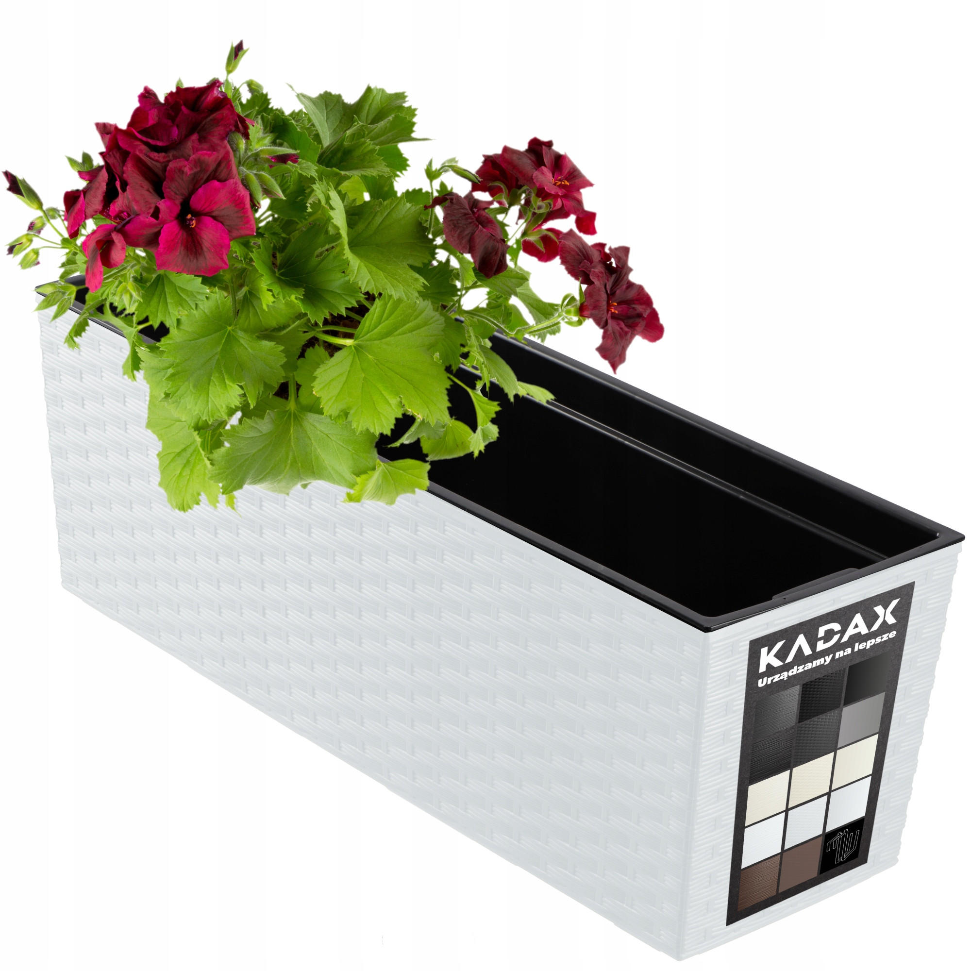 BLUMENKASTEN mit Einsatz 56 cm, Weiß - Weiß, Kunststoff - KADAX
