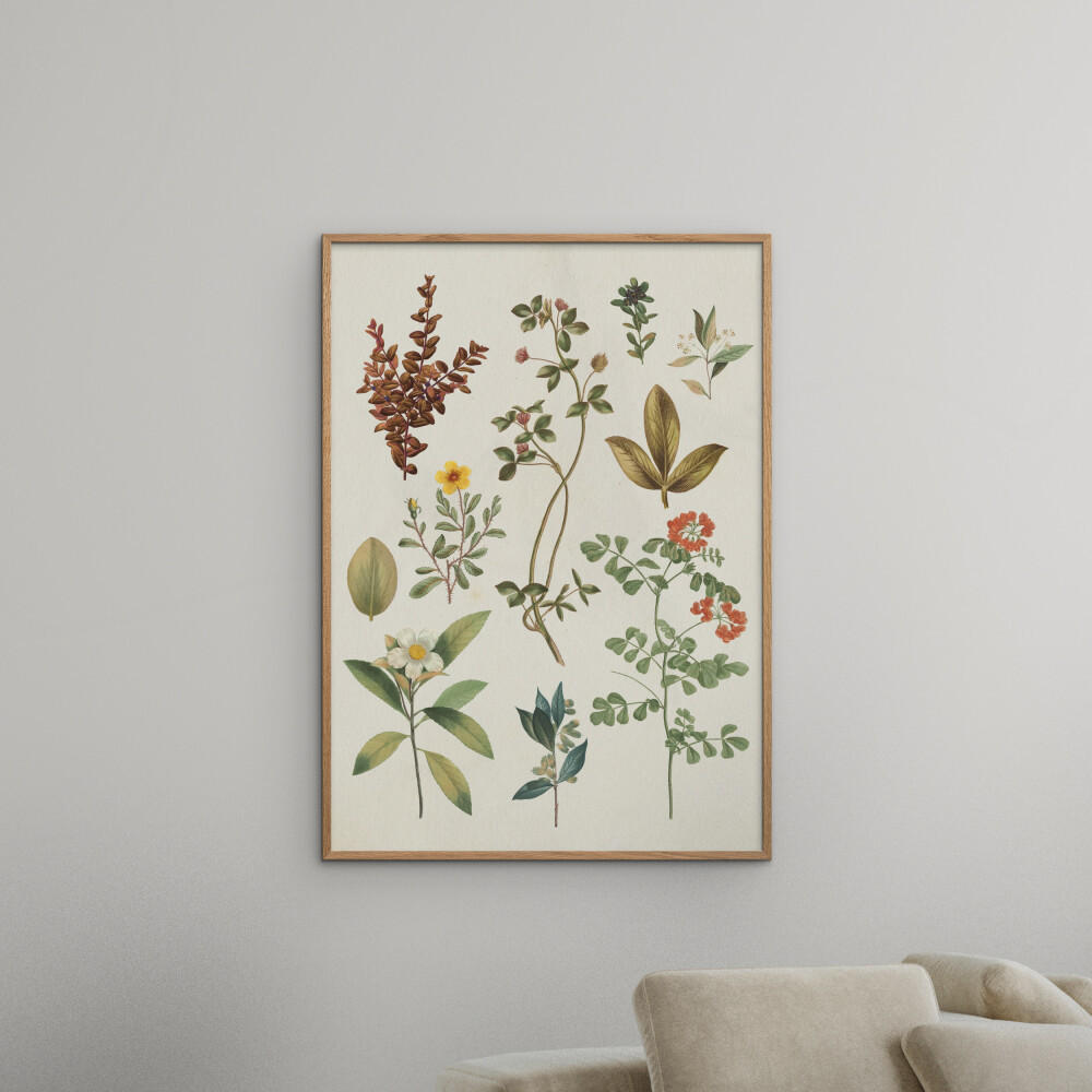 POSTER Wild Apple - Victorian Garden III - Grün, Papier (30/40/0.1cm) - Poster&Frame