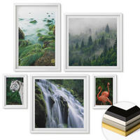 WANDBILDER 5er-Set - 50x50 cm & 20x30 cm & 40x60 cm Weißer Rahmen - Tiger Wasserfall Flamingos Natur - Weiß, Kunststoff (40/60cm) - ArtPrintCave