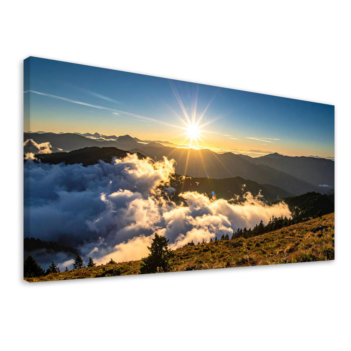 LEINWANDBILD Natur und Botanik 100x50cm - Blau, Textil (100/50cm) - Feeby